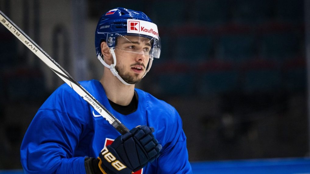 Slovenský hokejový reprezentant Dávid Romaňák.