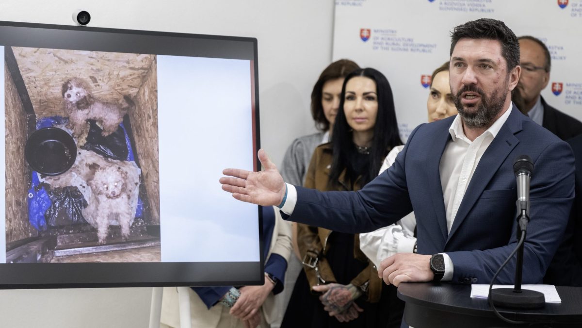 Agrorezort chce novelou z&aacute;kona zak&aacute;zať množiarne psov a mačiek