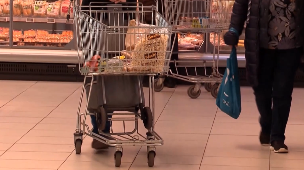 Na snímke žena tlačí nákupný košík.