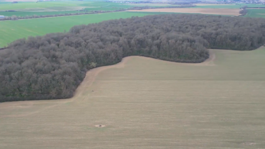 Prírodná rezervácia s rozlohou vyše 46 hektárov má zvlnený tvar.