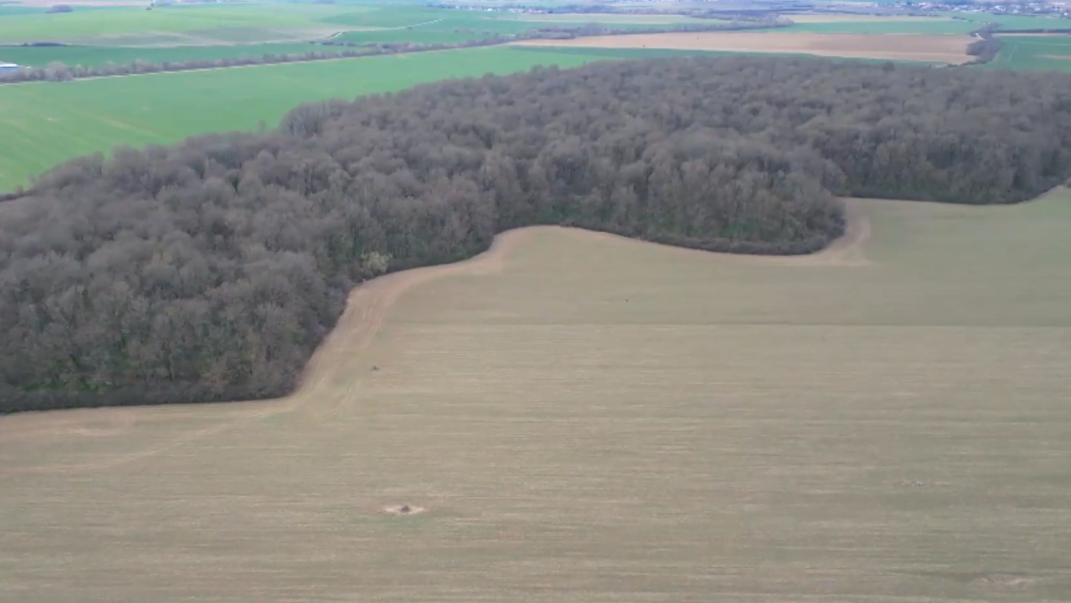 Kravy, ktor&eacute; sa p&aacute;sli na okraji Chynorianskeho h&aacute;ja, vraj lep&scaron;ie dojili. Podľa miestnych je tento k&uacute;sok zeme počarovan&yacute;