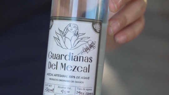 Tradičný mexický alkoholický nápoj mezcal.