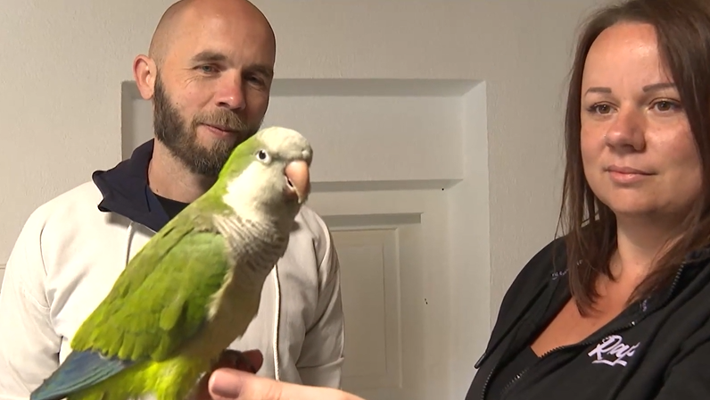 Manželia chovaj&uacute; aj papag&aacute;jov.