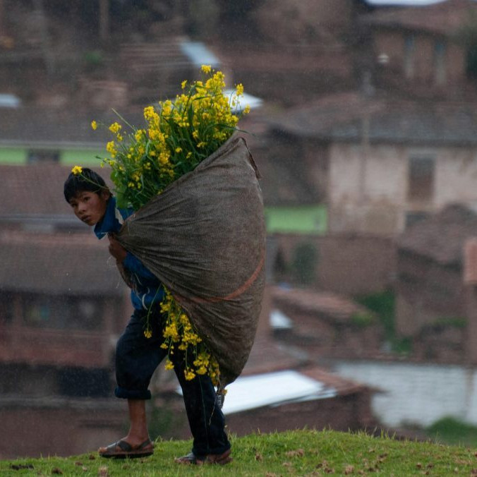 Chlapec ide zo zberu v meste Cuzco.