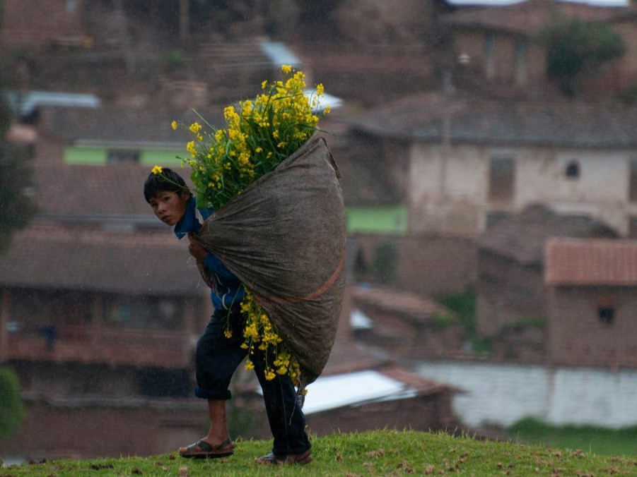 Chlapec ide zo zberu v meste Cuzco.