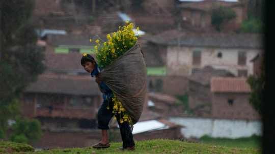 Chlapec ide zo zberu v meste Cuzco.