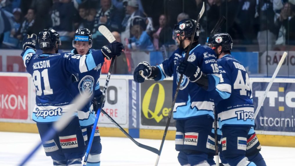 hokejisti sa radujú