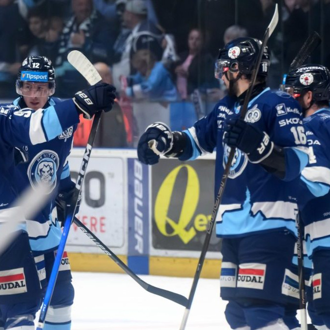 hokejisti sa radujú