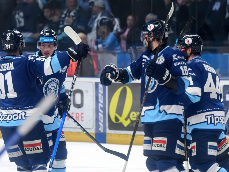 hokejisti sa radujú