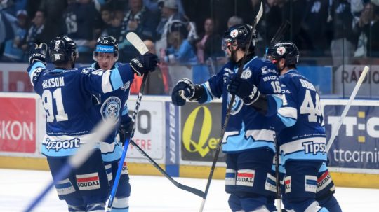 hokejisti sa radujú