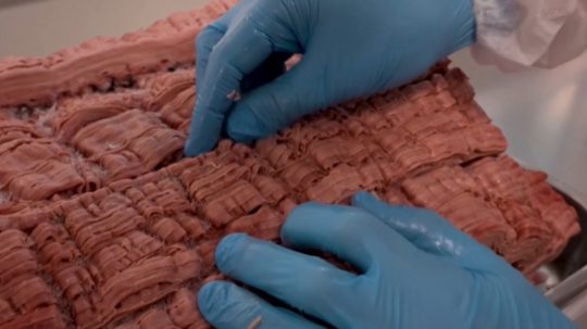 Na snímke mleté hybridné mäso.