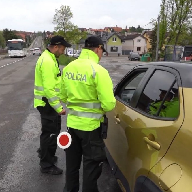 policajná kontrola