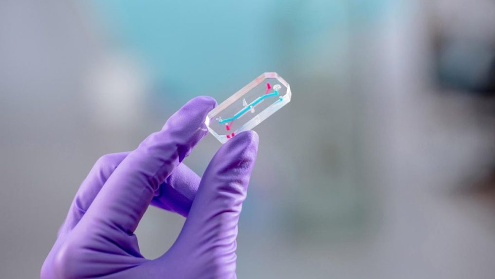 Na ilustračnej snímke čip spoločnosti Emulate.