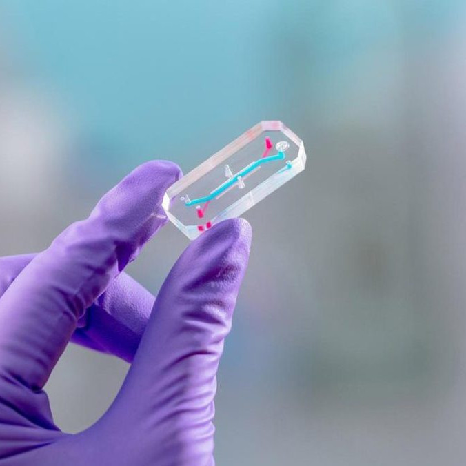 Na ilustračnej snímke čip spoločnosti Emulate.