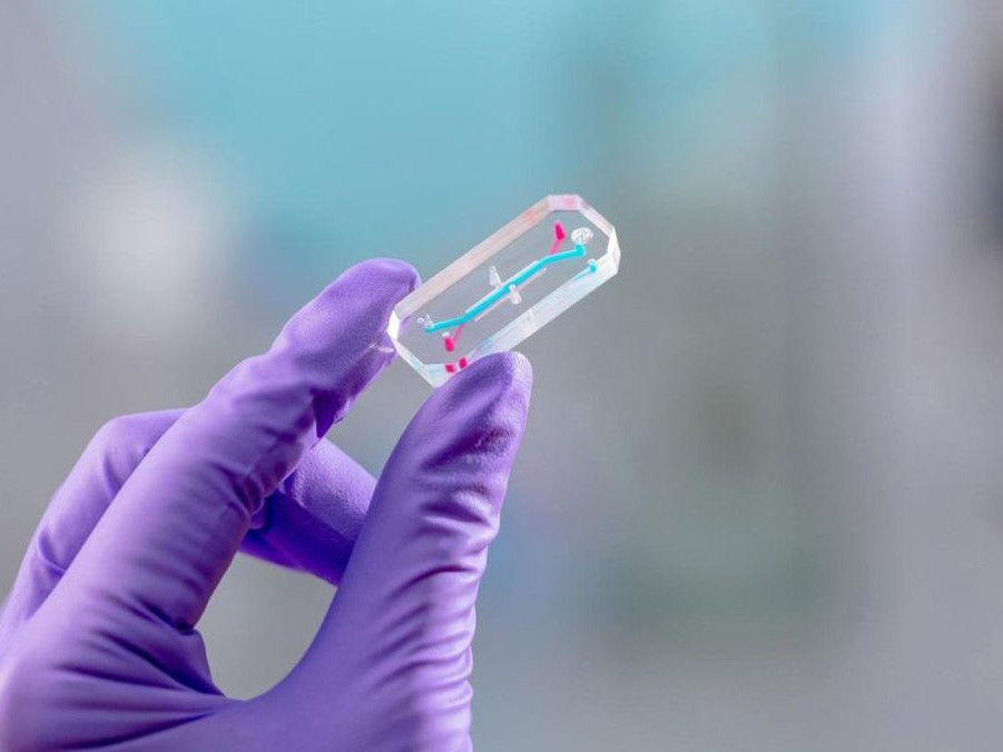 Na ilustračnej snímke čip spoločnosti Emulate.