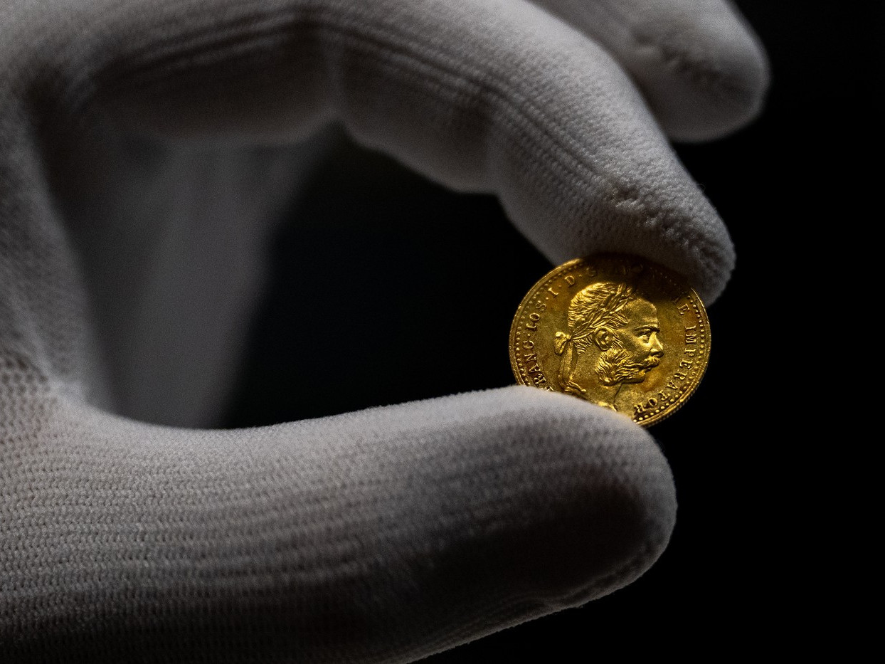 Na snímke zlatá minca.