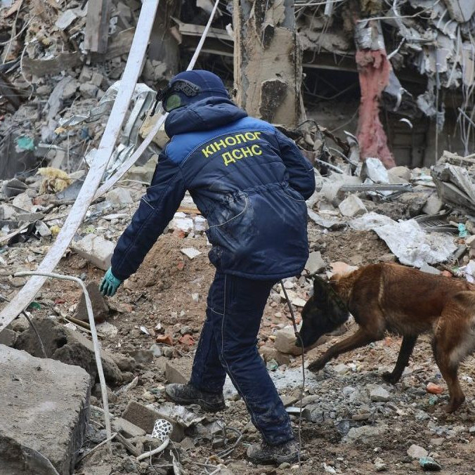 Ilustračná snímka záchranárskeho psa po ruskom útoku na Charkov.
