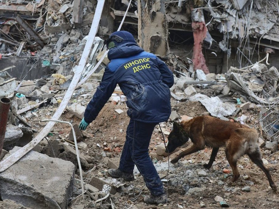 Ilustračná snímka záchranárskeho psa po ruskom útoku na Charkov.