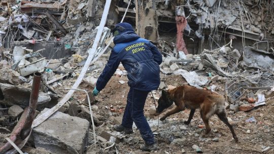 Ilustračná snímka záchranárskeho psa po ruskom útoku na Charkov.