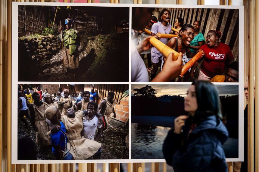 Na sn&iacute;mke v&yacute;stava fotiek.