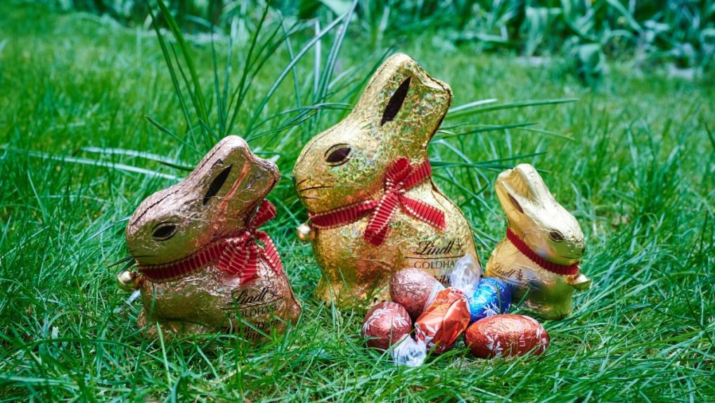 Ilustračná snímka čokoládových zajačikov a vajíčok.