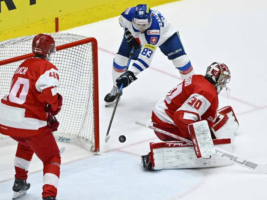 Na snímke uprostred Servác Petrovský (Slovensko) a brankár Mads Sögaard (Dánsko) v prípravnom zápase Slovensko – Dánsko.