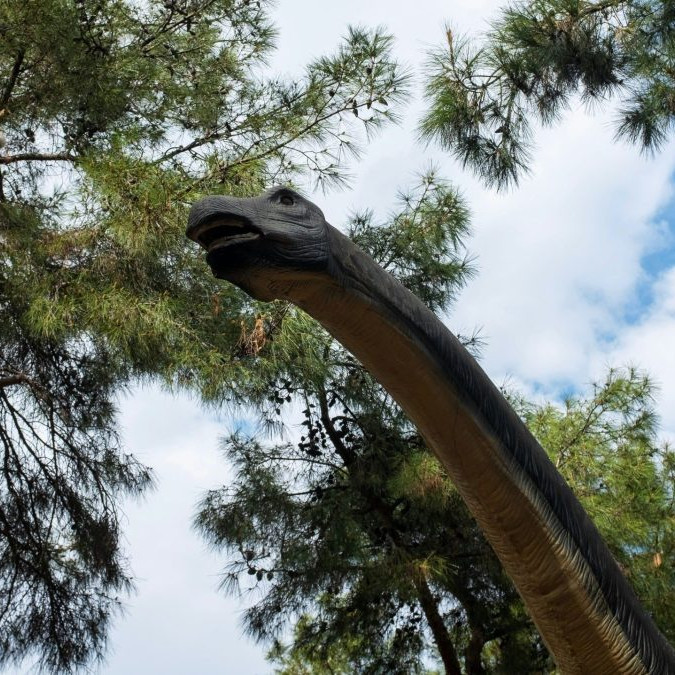 dlhokrký dinosaurus