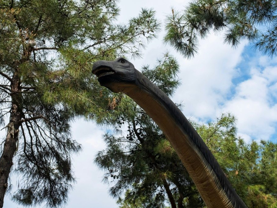 dlhokrký dinosaurus