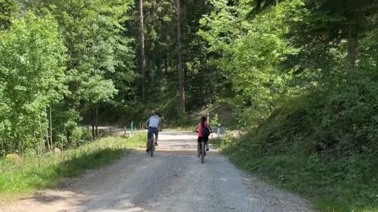 cyklisti na lesnej ceste