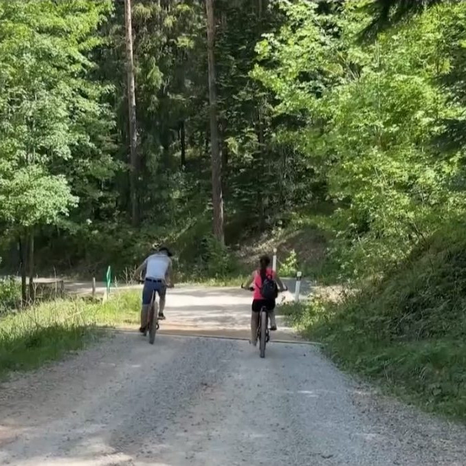 cyklisti na lesnej ceste