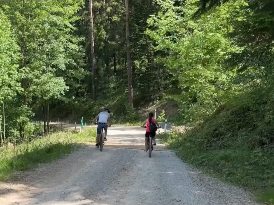 cyklisti na lesnej ceste