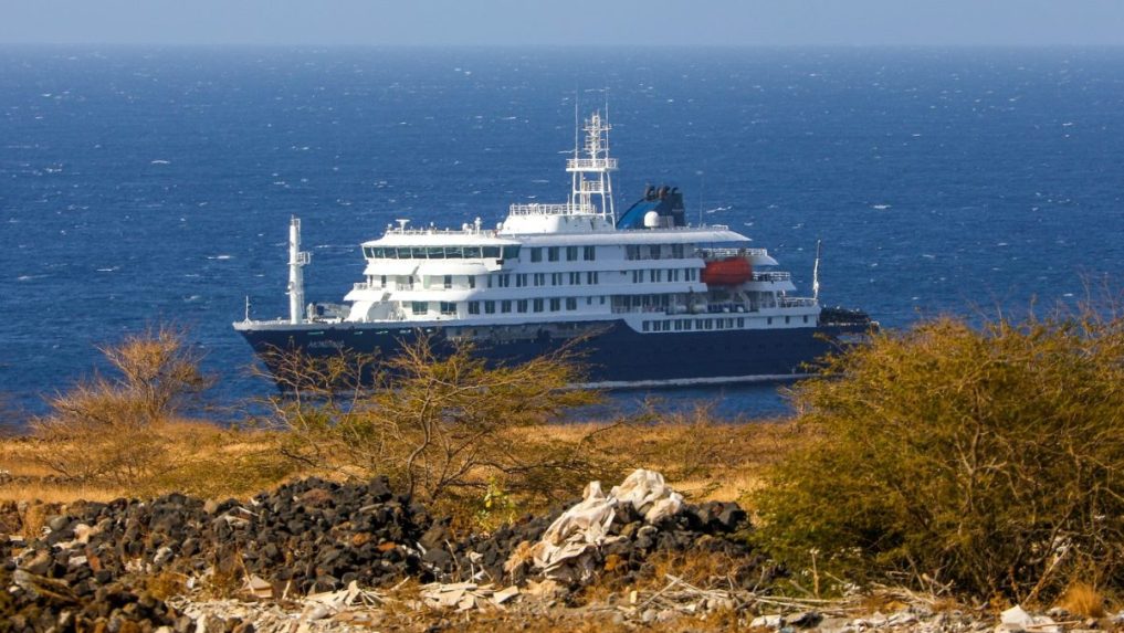 WHO poskytla bližšie informácie k smrteľnému vírusu, ktorý sa začal šíriť na výletnej lodi v Atlantickom oceáne