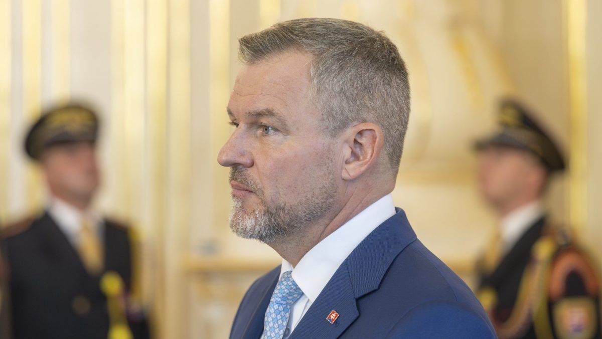Mali by mať občania pr&aacute;vo skr&aacute;tiť poslancom volebn&eacute; obdobie referendom? P&yacute;tali sme sa odborn&iacute;kov