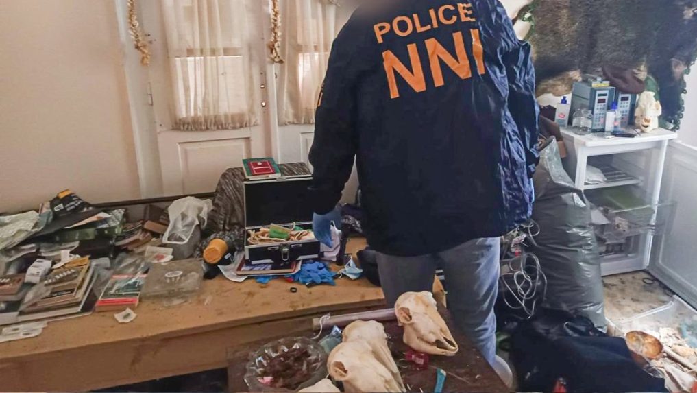 Maďarská polícia pri prehliadke bytu.