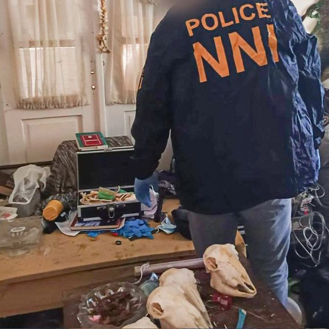 Maďarská polícia pri prehliadke bytu.