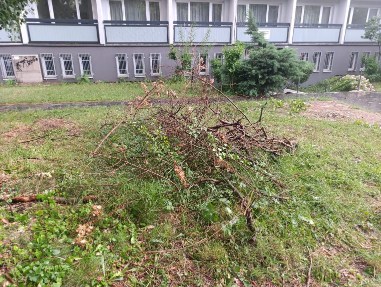 Bratislavou sa prehnala siln&aacute; b&uacute;rka.