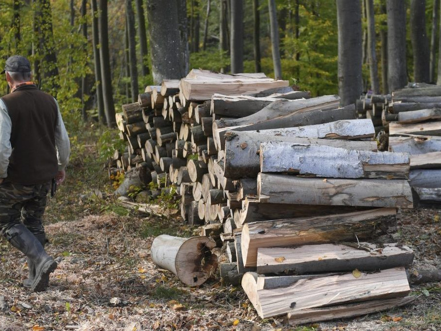 Znečistené ovzdušie skracuje život Slovákov v priemere o viac ako rok. Analýza identifikovala najrizikovejšie regióny