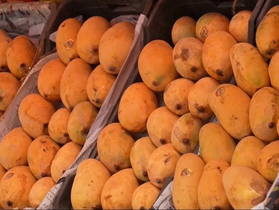 Na ilustračnej snímke mango.