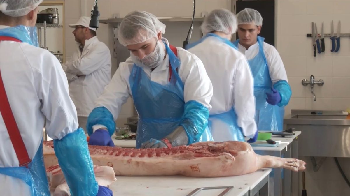 Z&aacute;ujem o nedostatkov&eacute; odbory rastie. &Scaron;koly v&scaron;ak pre určen&eacute; kv&oacute;ty nem&ocirc;žu prij&iacute;mať viac žiakov