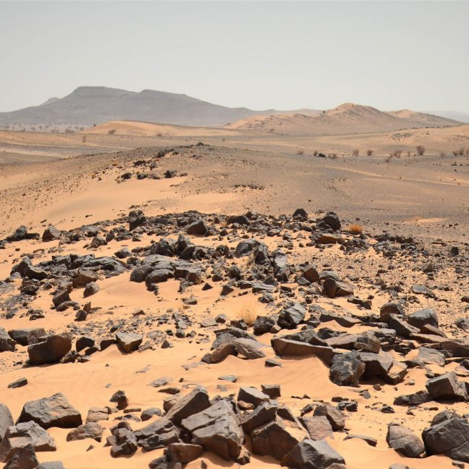 Sahara