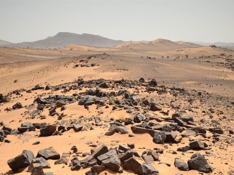 Sahara