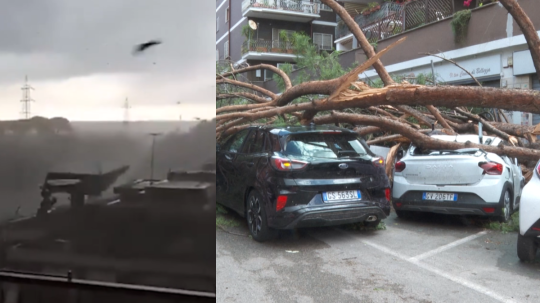 Tornádo v Ríme povyvracalo desiatky stromov.