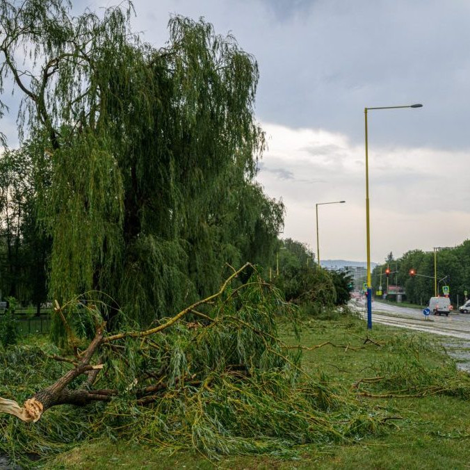 Na snímke popadané stromy po silnej búrke na Levočskej ulici v Prešove.