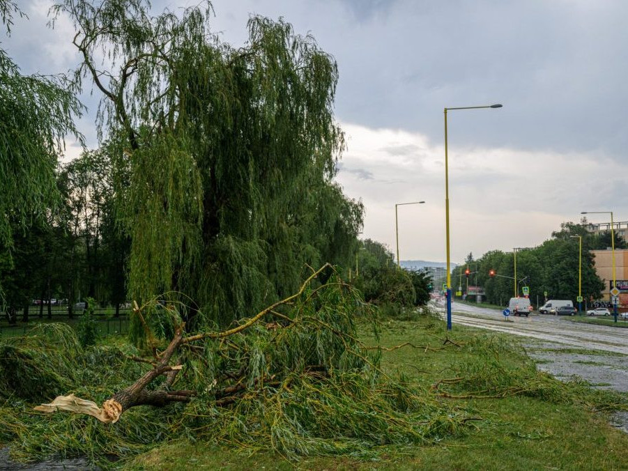 Na snímke popadané stromy po silnej búrke na Levočskej ulici v Prešove.
