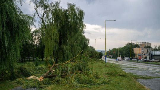 Na snímke popadané stromy po silnej búrke na Levočskej ulici v Prešove.