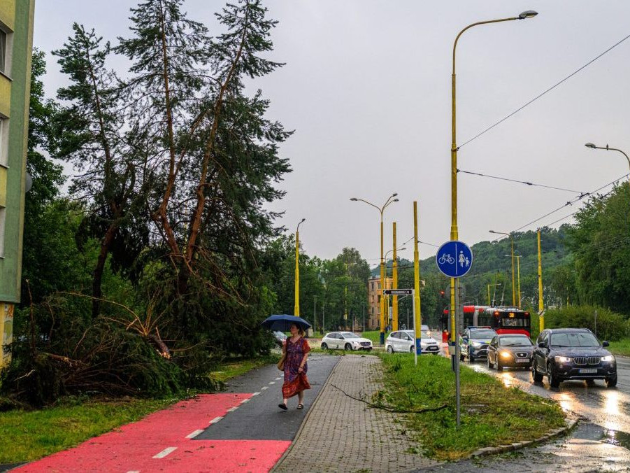 Na snímke popadané stromy po silnej búrke na Levočskej ulici v Prešove.