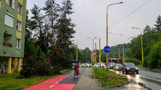 Na snímke popadané stromy po silnej búrke na Levočskej ulici v Prešove.