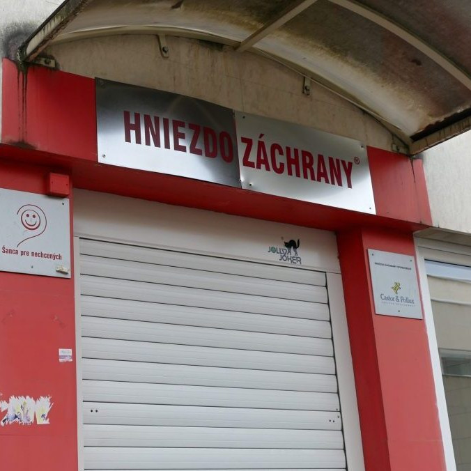 Hniezdo záchrany v Žiline.