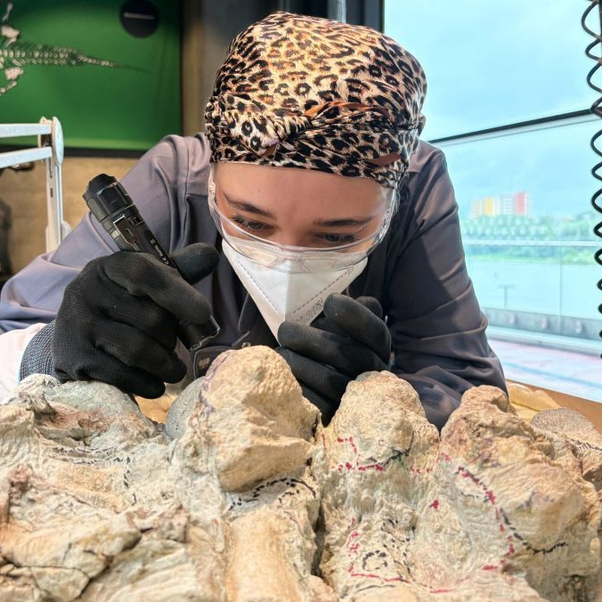 Koordinátorka dobrovoľníkov Tatyana Kozyková čistí kostru mastodonsaura.