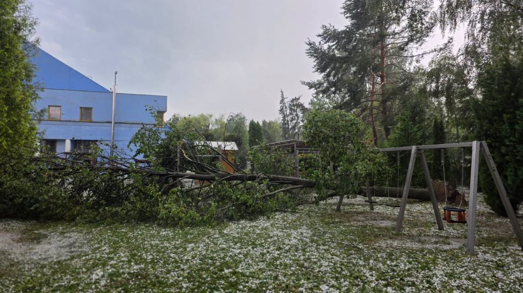 Vyvalen&yacute; strom po b&uacute;rke v Pre&scaron;ove.